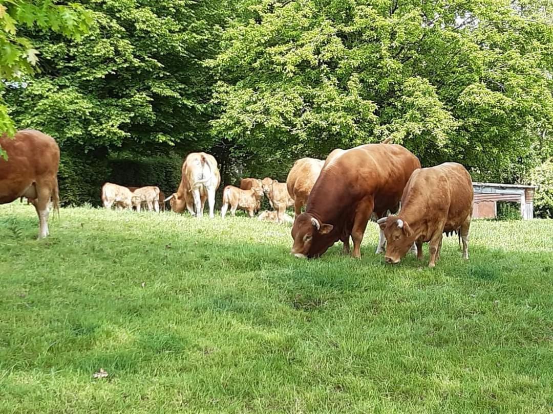 Au Bocage Parfume Gite La Cigaline Wirwignes Exteriér fotografie